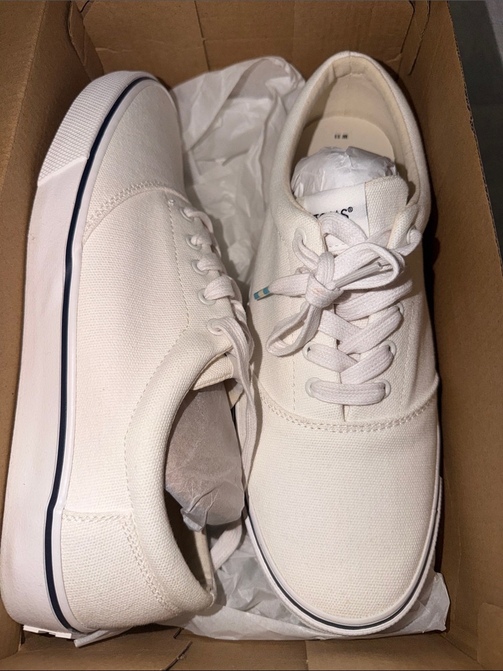 Toms Women's Canvas Sneakers in Off-White with Navy Stripe